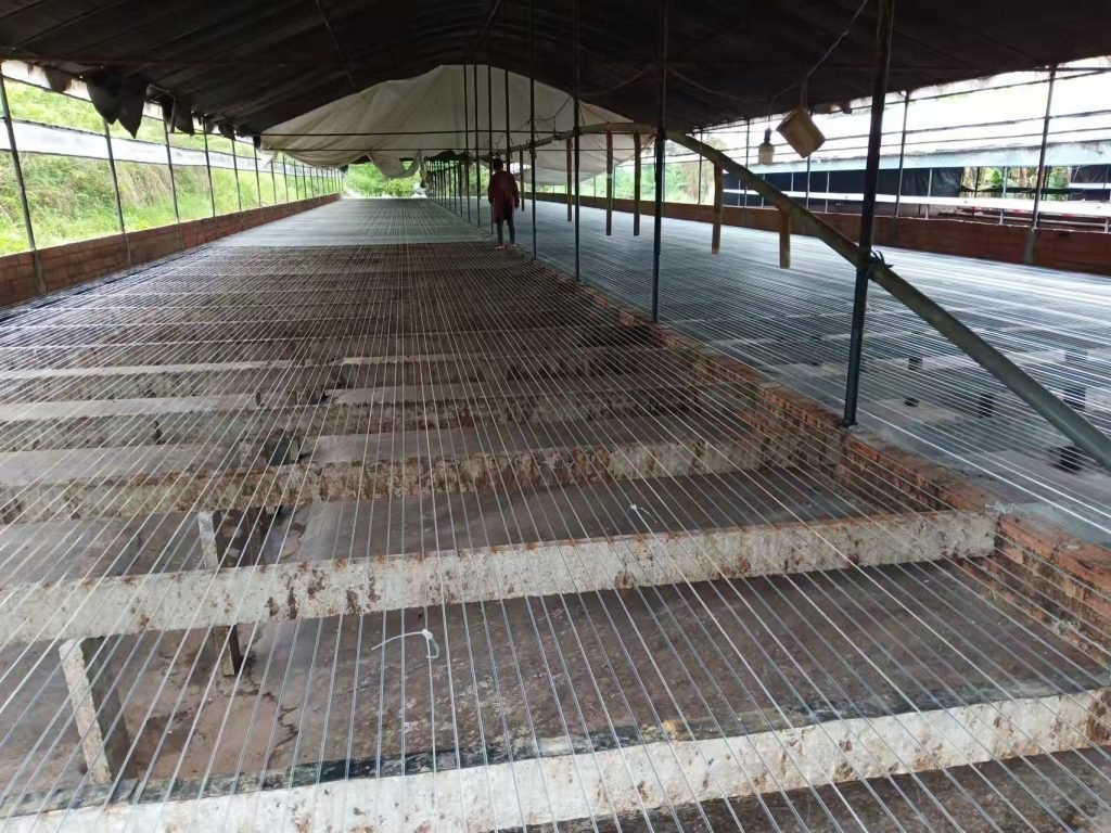 4.0mm Wire for Duck Farm Fencing