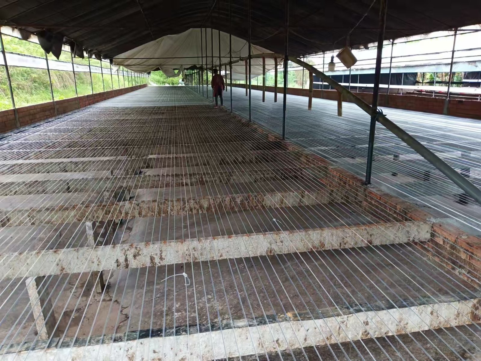 4.0mm Wire for Duck Farm Fencing
