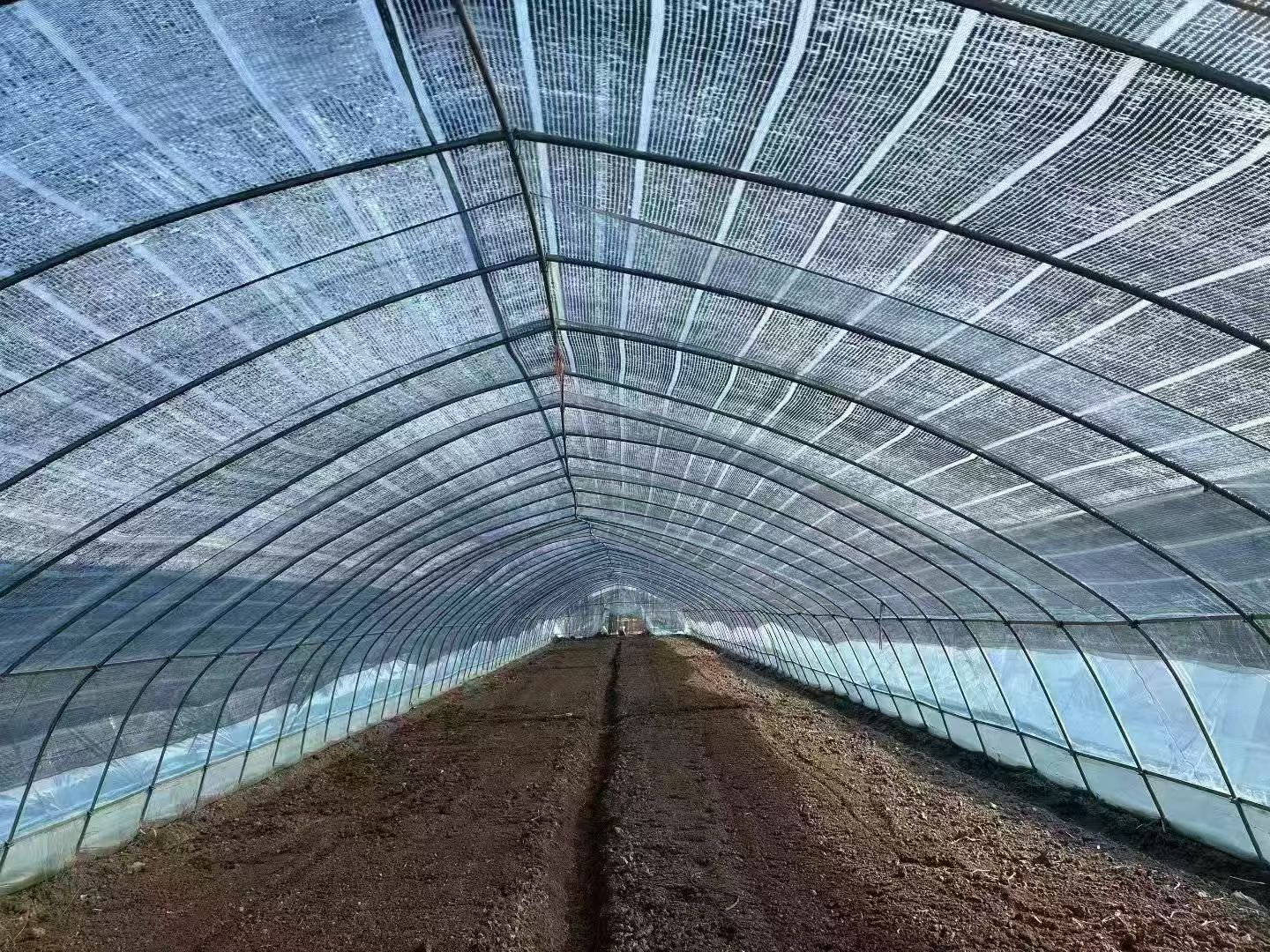 Agricultural Shade Net Installation