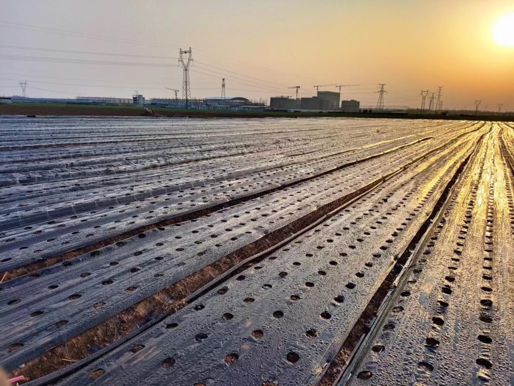 Agricultural application