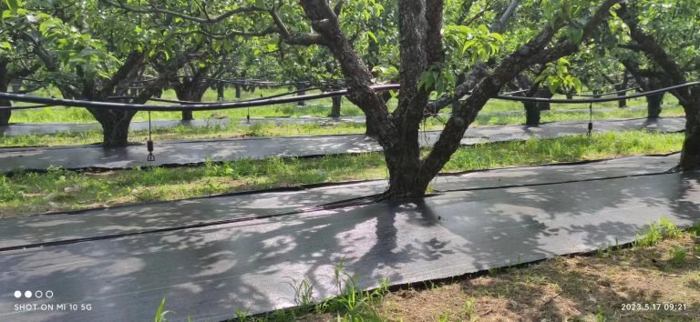 Choosing the Right GSM for Your Weed Control Fabric