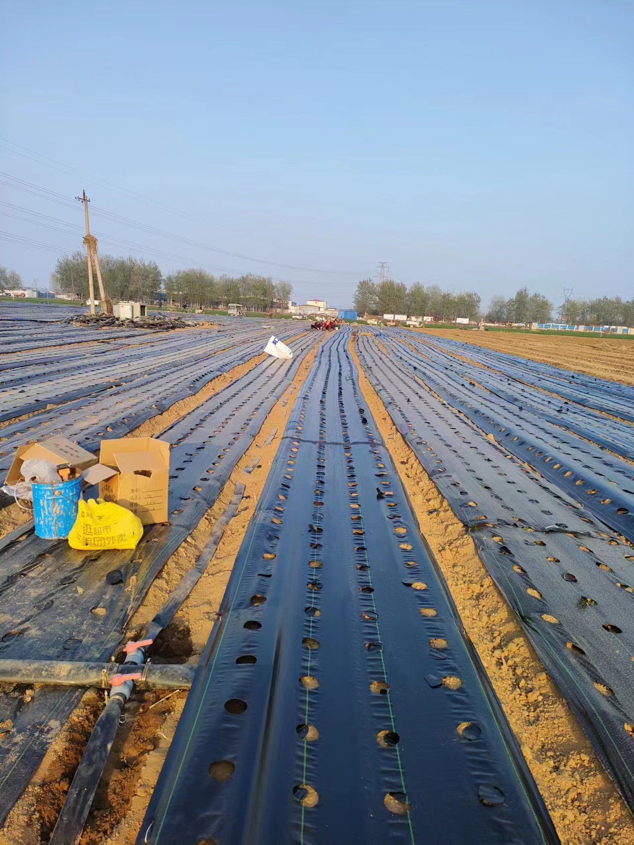 Field Coverage with Custom Weed Fabric