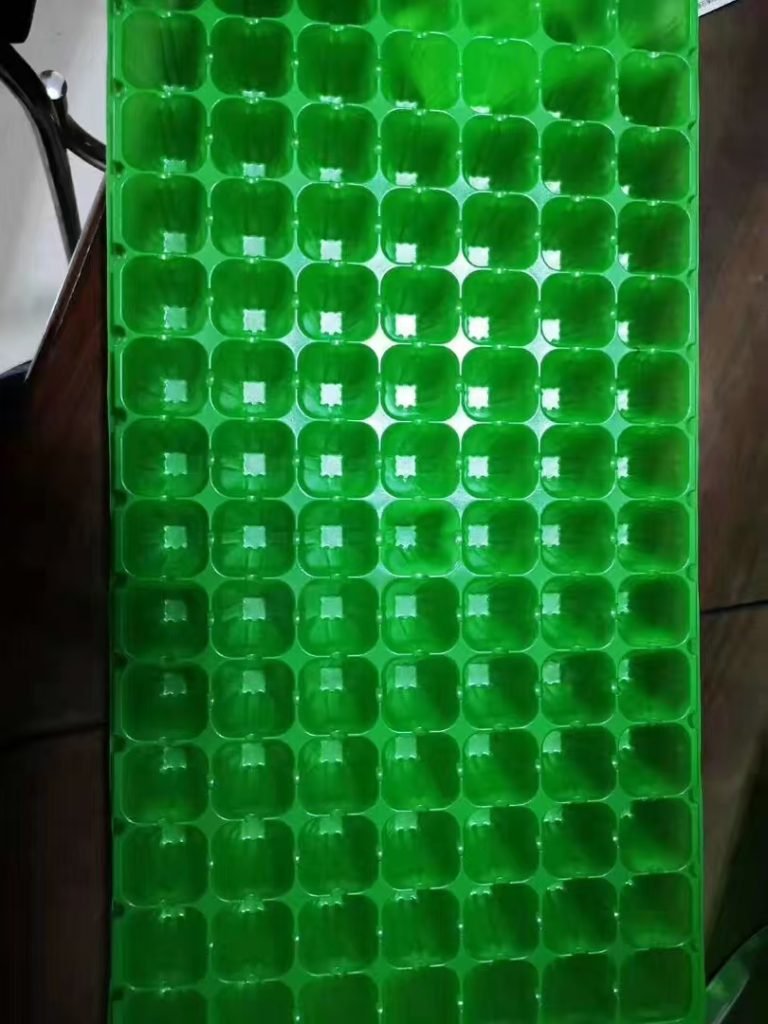 Seedling Trays